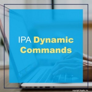 IPA Dynamic Commands